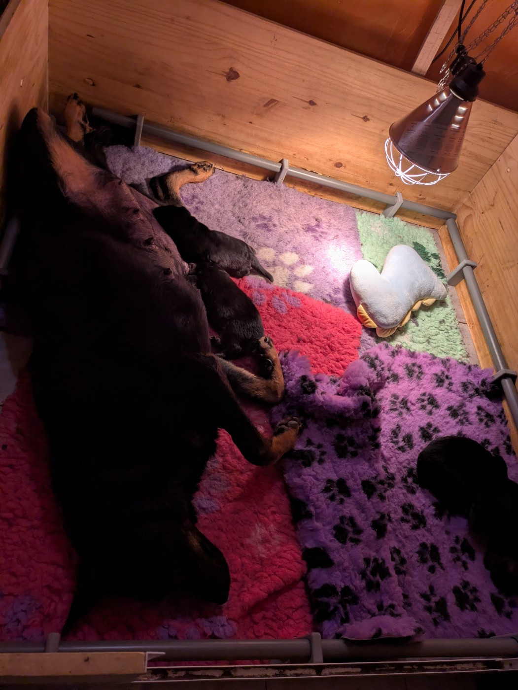 Naissance le 3 mars 2026